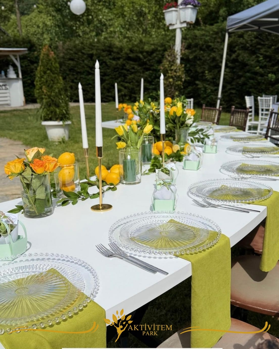 Aktivitempark açık hava düğün organizasyonu