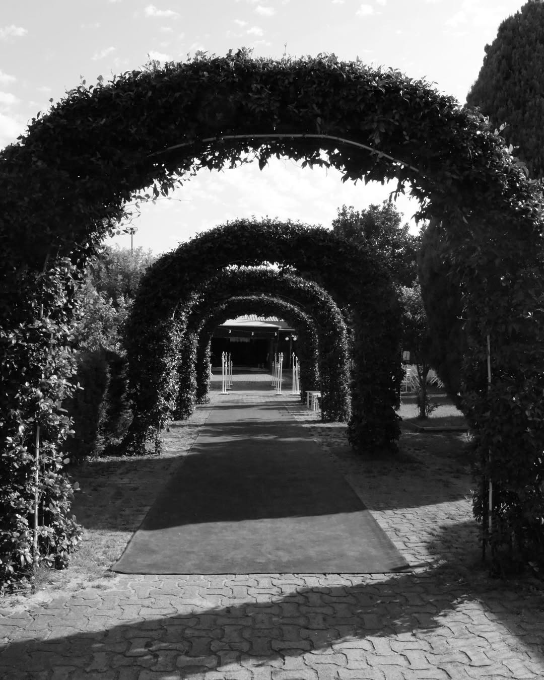 İstanbul Zeytinburnu’nda doğal çim zemini ve bahçe konsepti