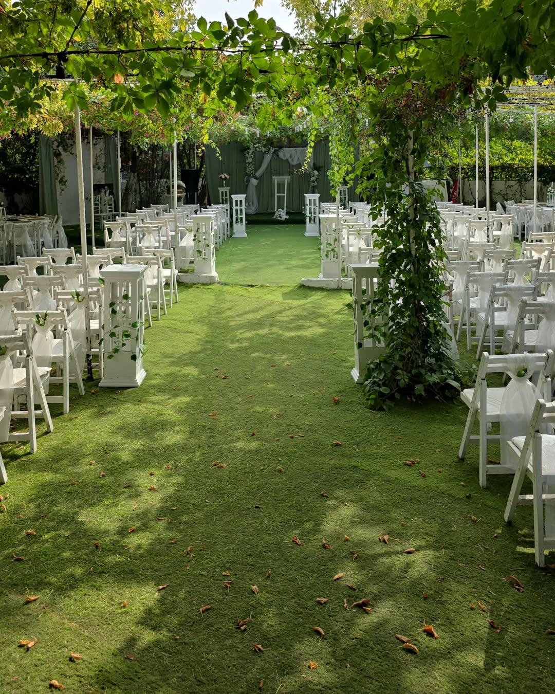 Ağaçlar altında romantik kır düğünü atmosferi