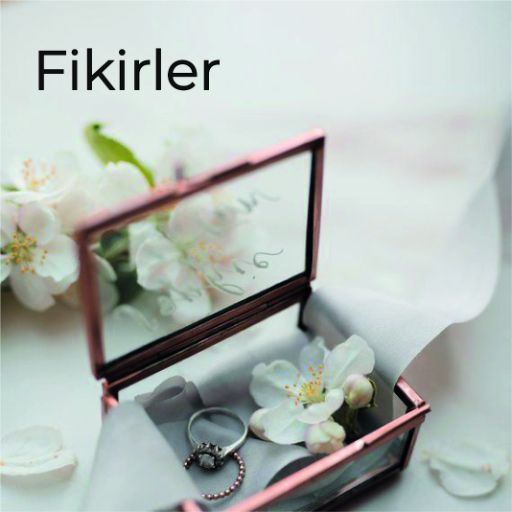 Fikirler